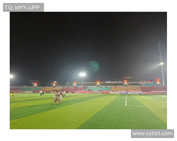 节约足球明星的智慧与奉献精神在绿茵场上的闪耀时刻