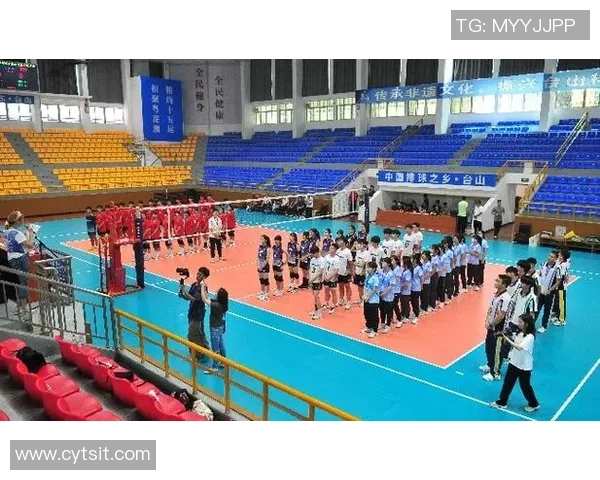 权威发布：2023年排球节奏实力榜单全面解析与深度解读